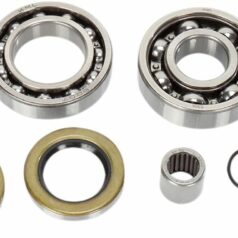 DIFFERENTIAL BEARING AND SEAL KIT
