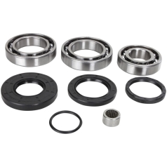 DIFFERENTIAL BEARING AND SEAL KIT