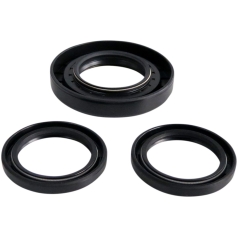 DIFFERENTIAL SEAL KIT RR