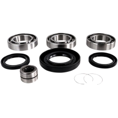 DIF BEARING SEAL KIT RR