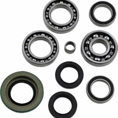 DIF BEARING SEAL KIT RR