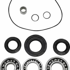 DIF BEARING SEAL KIT RR