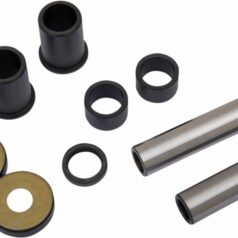BEARING SWINGARM TTR230