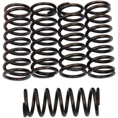 CLUTCH SPING KIT SET OF 5