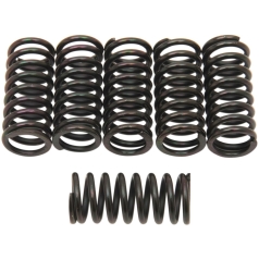 CLUTCH SPING KIT SET OF 6