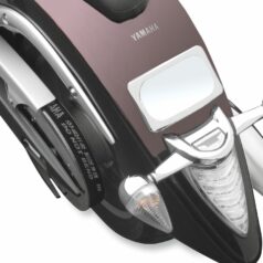LICENSE KIT CURVED 'LINER
