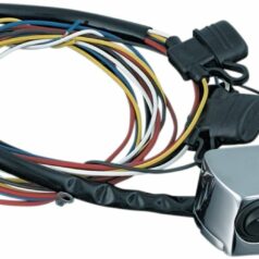 ACCESSORY SWITCHES