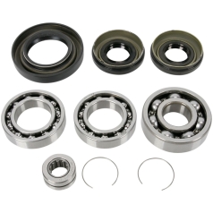 DIFFERENTIAL BEARING AND SEAL KIT
