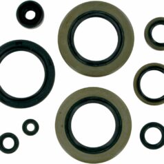 OIL SEAL SET