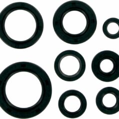 OIL SEAL SET