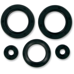 OIL SEAL SET