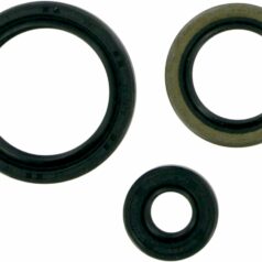 OIL SEAL SET