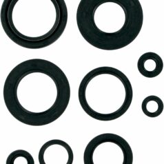 OIL SEAL SET