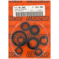 OIL SEAL SET