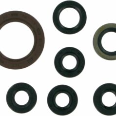 OIL SEAL SET