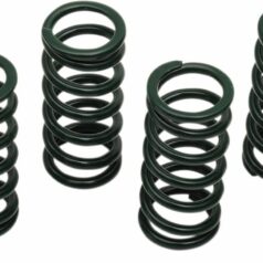 CLUTCH SPING KIT SET OF 6