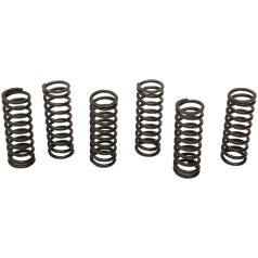 CLUTCH SPING KIT SET OF 6