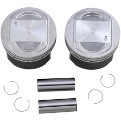 PISTONS BigBore .020 99-06TC
