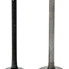 ENGINE VALVE INTAKE