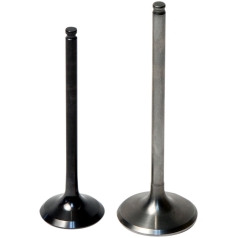 ENGINE VALVE INTAKE