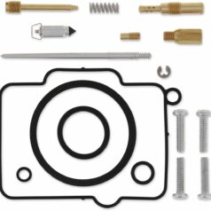 CARB REPAIR KIT