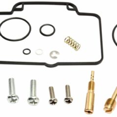 CARB REPAIR KIT