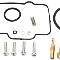 CARB REPAIR KIT