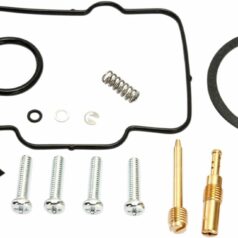 CARB REPAIR KIT