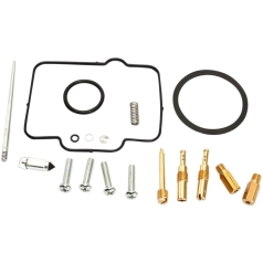 CARB REPAIR KIT