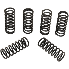 CLUTCH SPING KIT SET OF 6