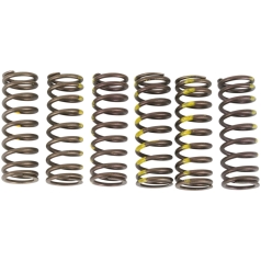 CLUTCH SPRINGS