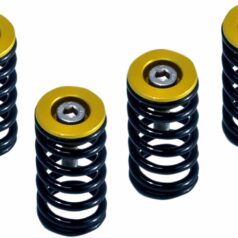 CLUTCH SPRING KIT DUCATI GOLD SET OF 6