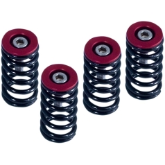 CLUTCH SPRING KIT DUCATI BLACK SET OF 6