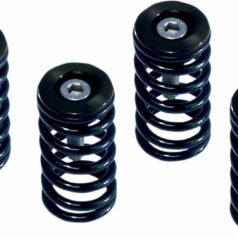 CLUTCH SPRING KIT DUCATI RED SET OF 6