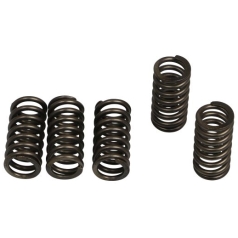 CLUTCH SPRING KIT (6 PCS)