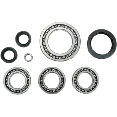 DIFFERENTIAL BEARING AND SEAL KIT