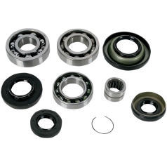 DIFFERENTIAL BEARING AND SEAL KIT