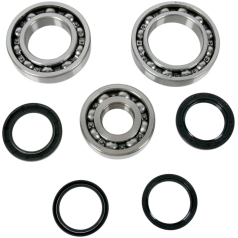 DIFFERENTIAL BEARING AND SEAL KIT