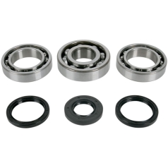 DIFFERENTIAL BEARING AND SEAL KIT