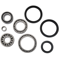 DIFFERENTIAL BEARING AND SEAL KIT