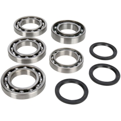 DIFFERENTIAL BEARING AND SEAL KIT