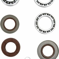 DIFFERENTIAL BEARING AND SEAL KIT