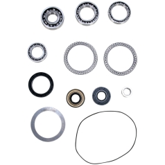 DIFFERENTIAL BEARING AND SEAL KIT