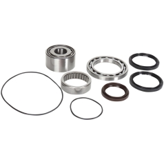 DIFFERENTIAL BEARING AND SEAL KIT