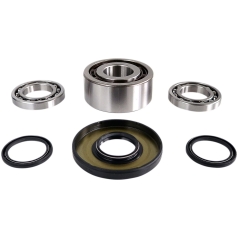 DIF BEARING & SEAL KIT FR