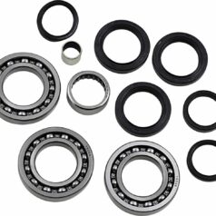 DIF BEARING SEAL KIT FR