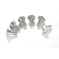 BRAKE ROTOR BOLTS