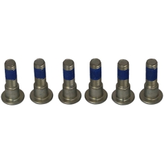 BRAKE ROTOR BOLTS - Triumph 97-20