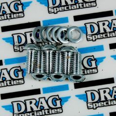 CHROME DERBY COVER BOLT KIT TORX