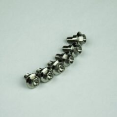 TITANIUM FORK GUARD BOLT